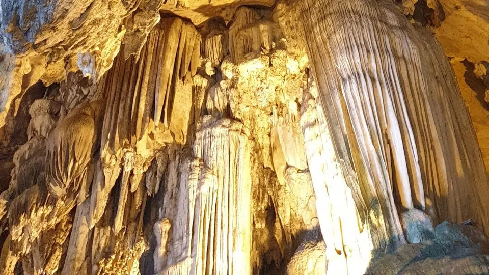 Protei nelle grotte di Postumia